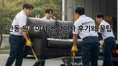 안동 원룸이사? 용달이사 후기와 꿀팁 대방출!