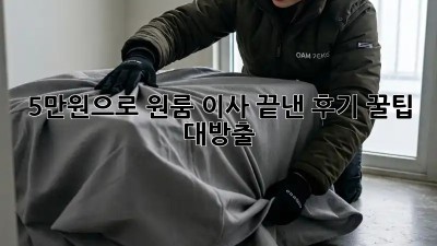 5만원으로 원룸 이사 끝낸 후기! 꿀팁 대방출!